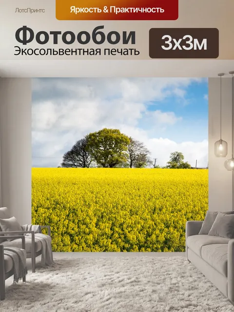 Фотообои Область желтого рапса