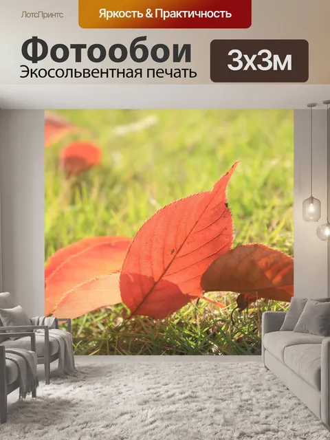 Фотообои Листопад