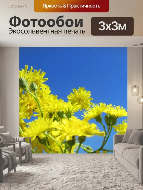 Фотообои Сад