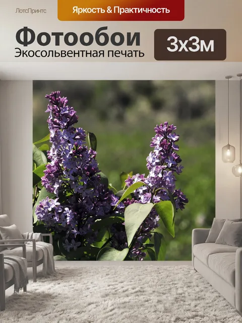 Фотообои Сирень