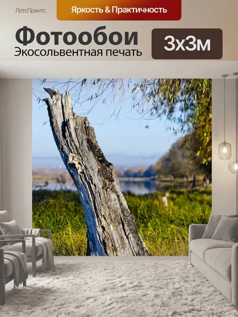 Фотообои Старый пень