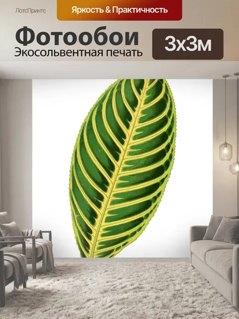 Фотообои Листва лист растение прозрачный