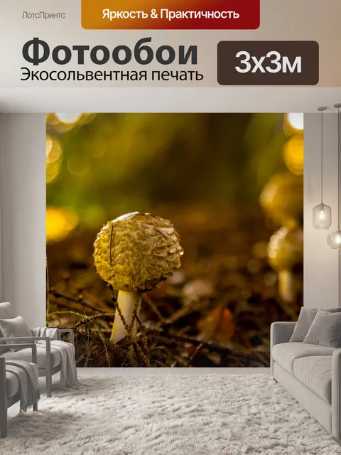 Фотообои Маленькие грибы