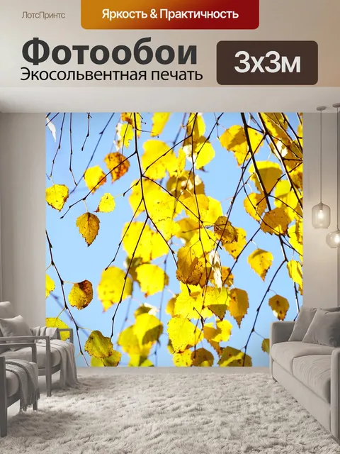 Фотообои Подвесная береза
