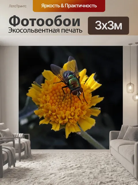 Фотообои Зеленая бутылка летать на остатках цвето