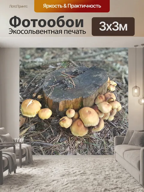 Фотообои Грибы
