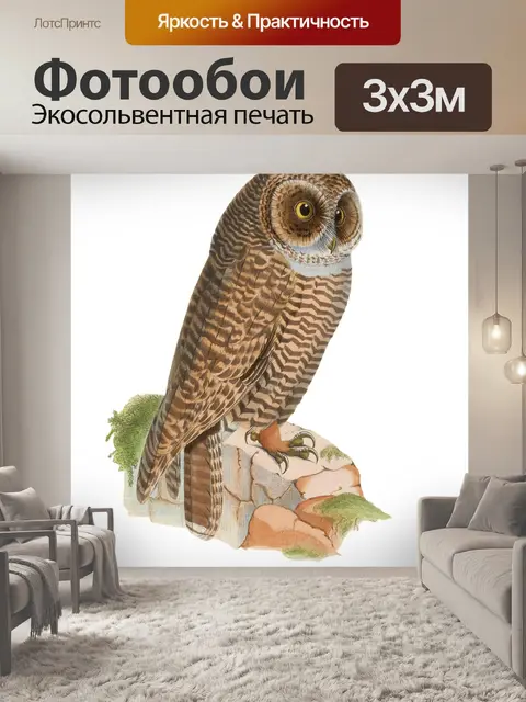 Фотообои Птица