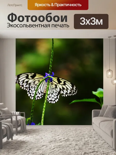 Фотообои Шахматная доска бабочка