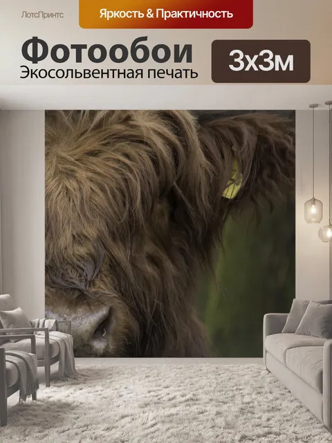Фотообои Коричневый