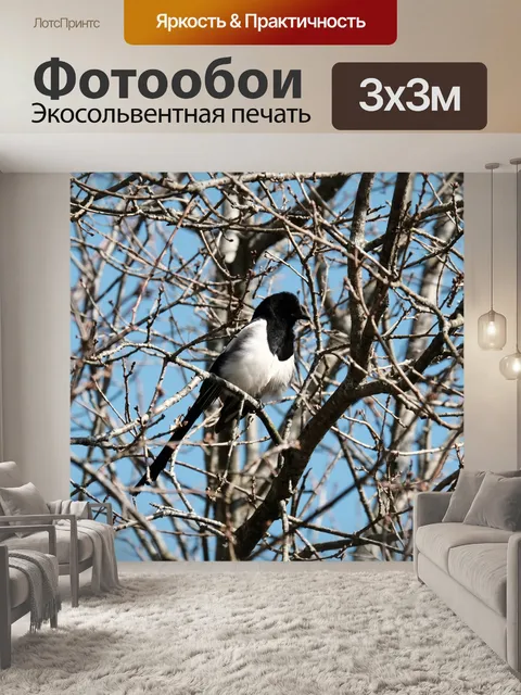 Фотообои Сорока на деревьях