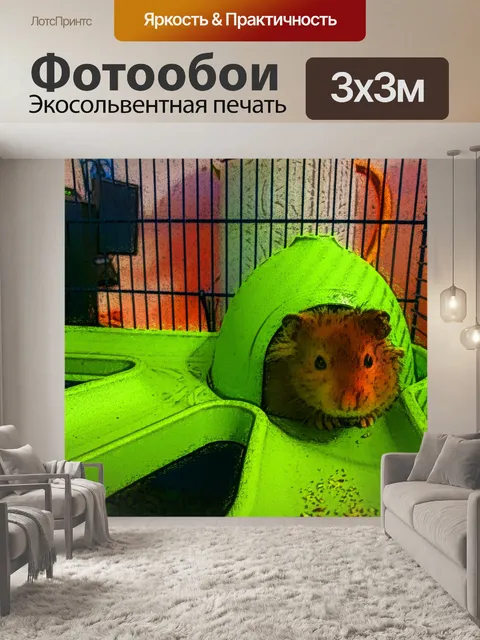 Фотообои Хомяк