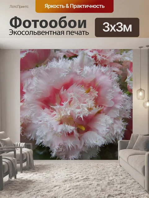 Фотообои Букет тюльпанов