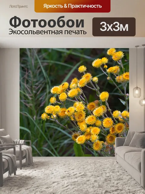 Фотообои желтые полевые цветы и зеленая трава