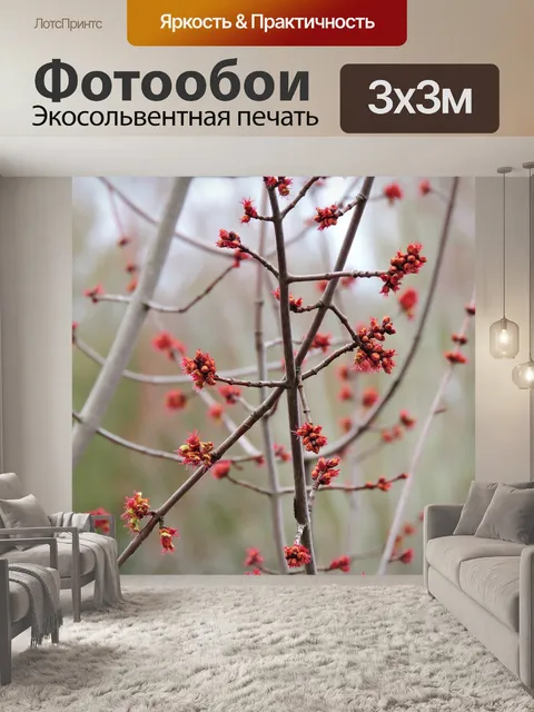 Фотообои Весна