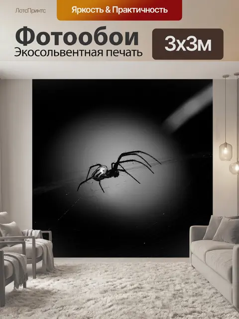 Фотообои Черное и белое