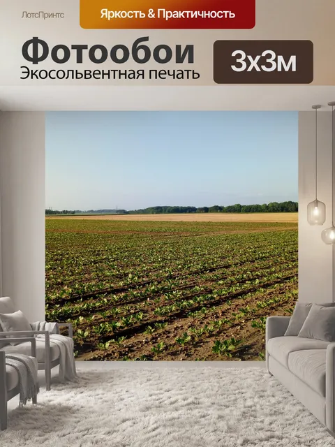 Фотообои Пейзаж