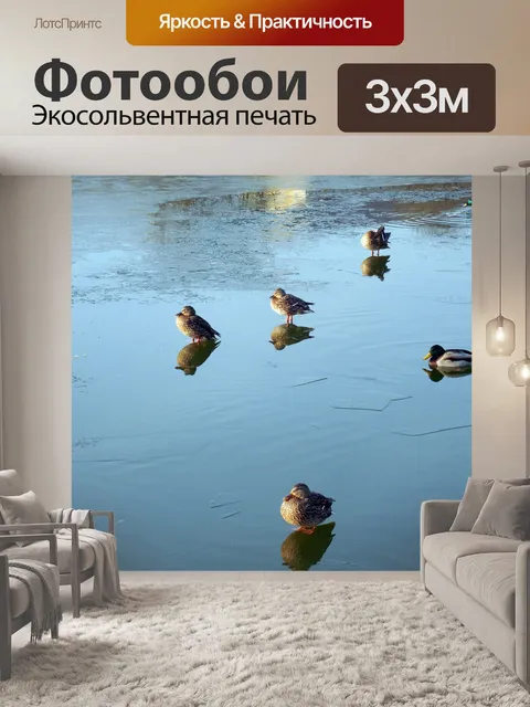 Фотообои Утки