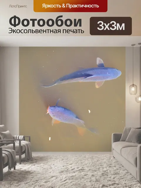 Фотообои Карп