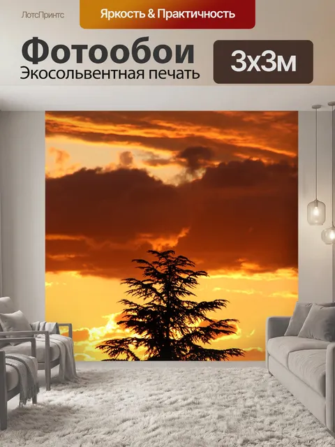 Фотообои Закат