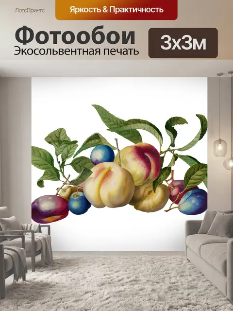 Фотообои Клипарт Fruit vintage art