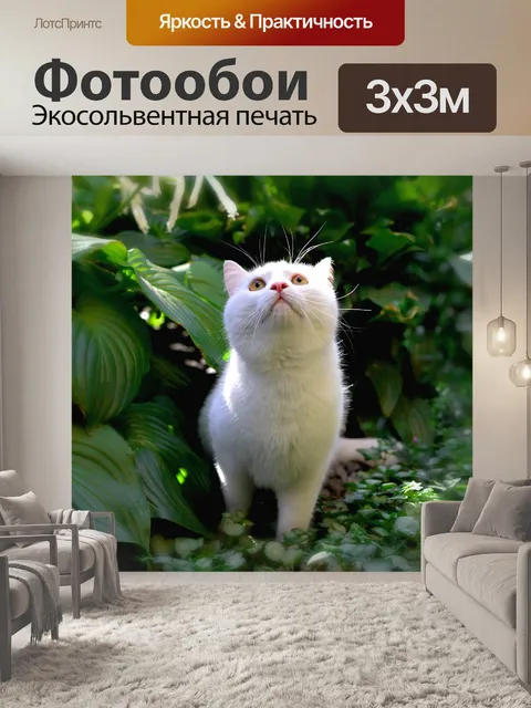 Фотообои Кот