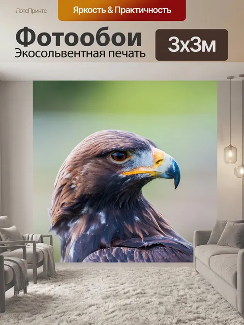 Фотообои Золотой орел