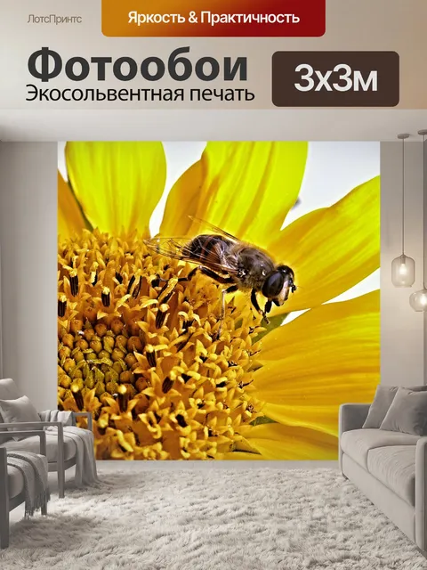Фотообои Мармелад журчалки на подсолнечник