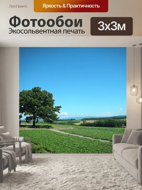 Фотообои Голубое небо и зеленые насаждения