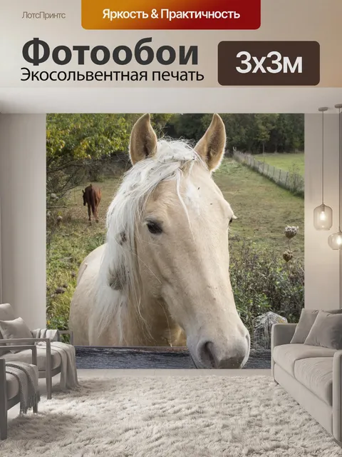 Фотообои Выпаса лошадей