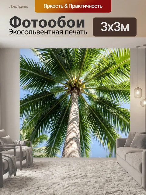 Фотообои Тропическая пальма снизу вверх