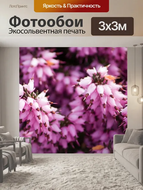 Фотообои Розовые цветы крупным планом