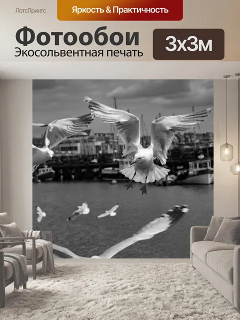 Фотообои Чайки в море