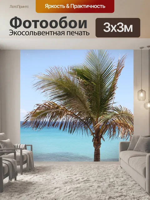 Фотообои Пальма