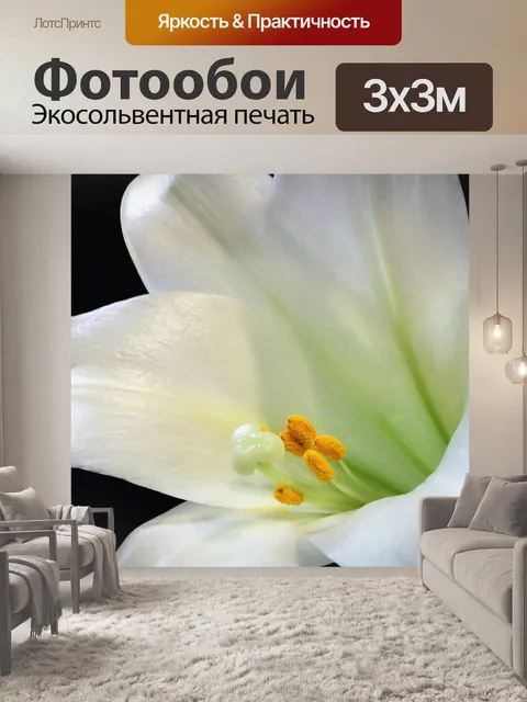 Фотообои Белая лилия Макро