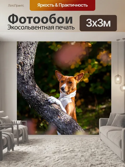 Фотообои Собака