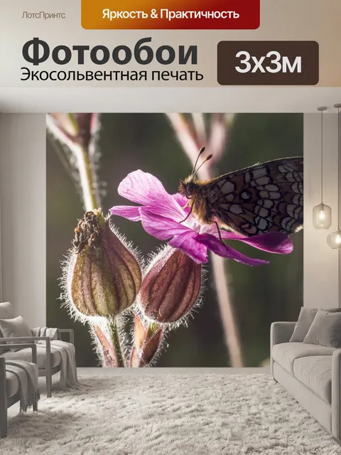 Фотообои Маленькая жемчужина-граничит рябчик