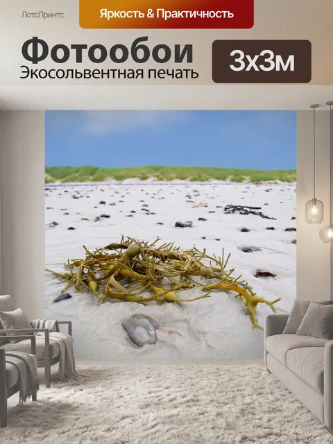 Фотообои Морские водоросли