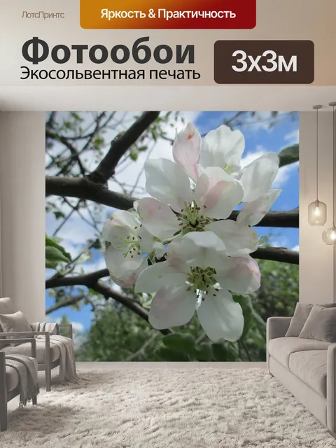 Фотообои Яблоневый цвет