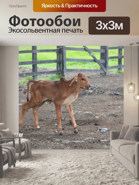 Фотообои Корова