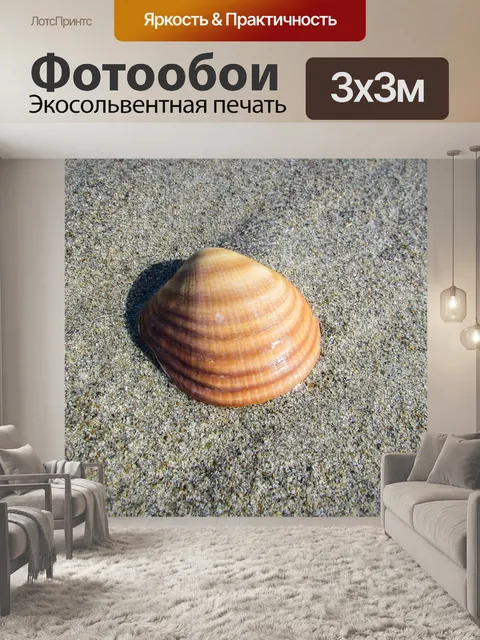 Фотообои Морская ракушка