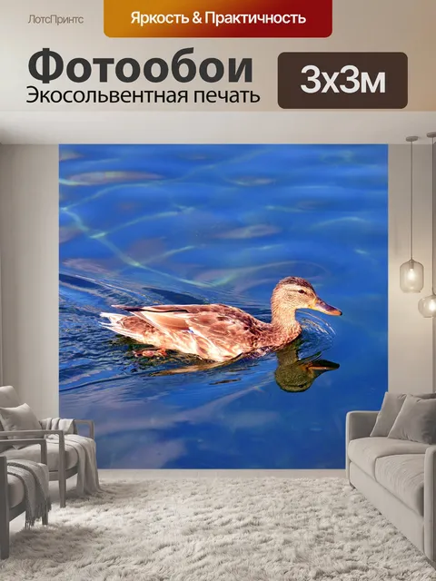 Фотообои Утка