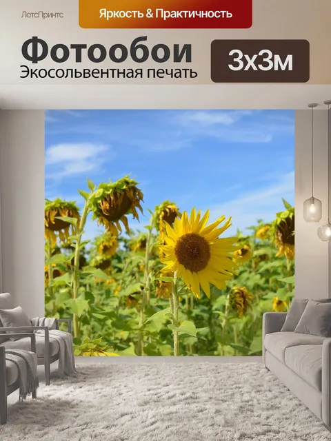 Фотообои Подсолнухи