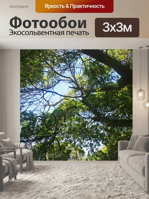 Фотообои небо над деревом