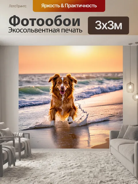 Фотообои собака, исследующая пляж на закате, волны омывают ее лапы, золотистая шерсть светится в лучах солнца…