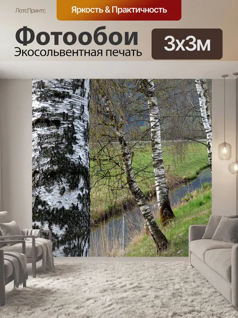Фотообои Березы