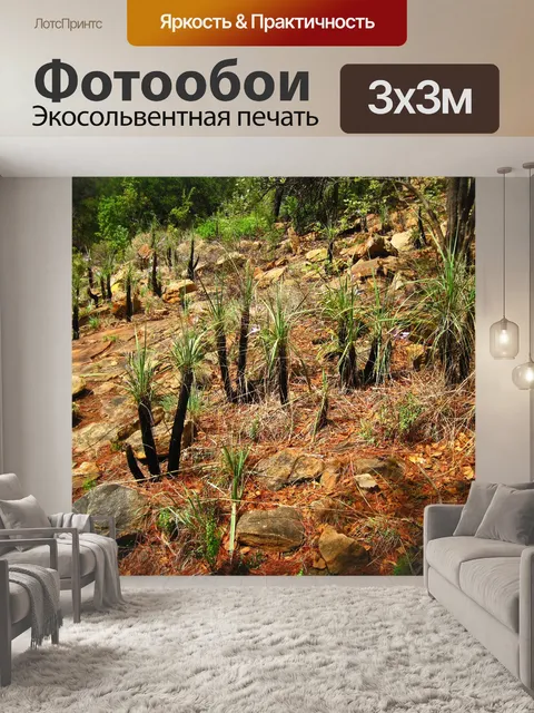 Фотообои черные палочные лилии с длинными листьям