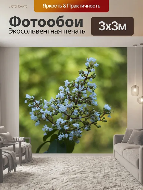 Фотообои Цветок
