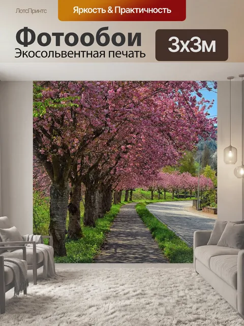 Фотообои Аллея сакуры дерево