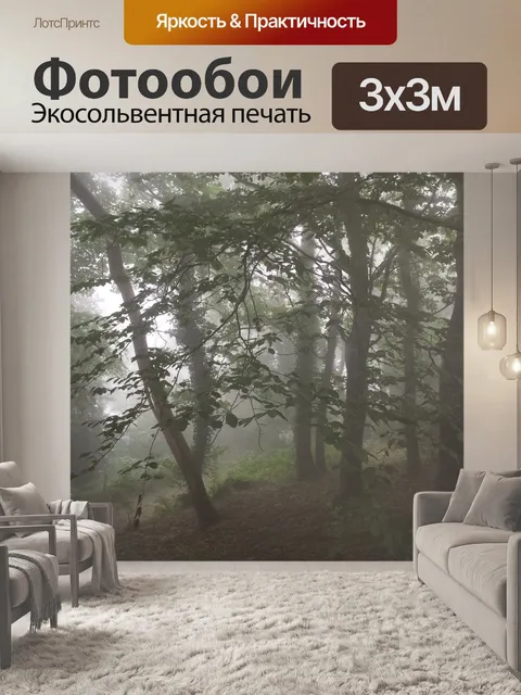 Фотообои Туманные леса
