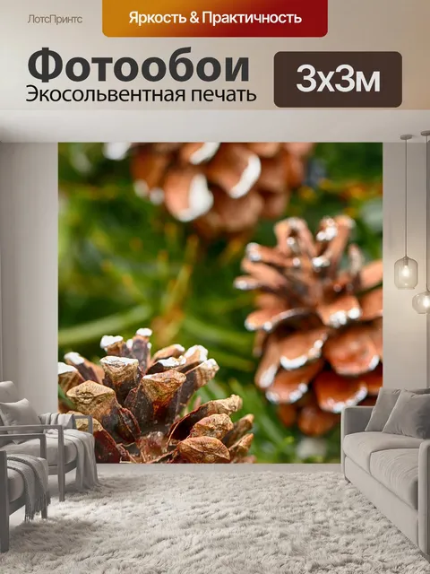 Фотообои Конус